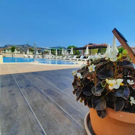 Vespera 3* 달리안